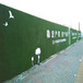 翠绿色1.5cm铁皮装饰围挡假草坪运城施工围墙草皮