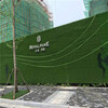 军绿色30针市政绿化围挡阻燃草坪福贡草坪生态围墙