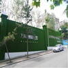 翠绿色1.0cm广告装饰围挡草皮青秀草皮背景墙