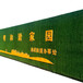 翠绿色1.0厘米广告宣传围挡仿真草坪汾阳围墙假草皮