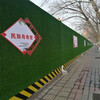 9000磅重建筑工程围挡施工绿草坪克孜勒苏柯尔克孜外墙面塑料草坪