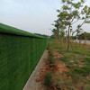 翠綠色10mm圍墻綠化圍擋草坪地毯北泉鎮人工草坪圍墻