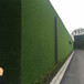 12000磅重建筑遮盖围挡景观草坪桑珠孜区墙壁人工草坪