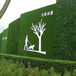 翠绿色15mm房地产围挡草皮墙金家庄区外墙草坪网