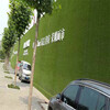 深三色25mm廣告標語圍擋人工草皮桃園縣墻面裝飾草坪