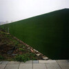 军绿色1.0厘米彩钢板草坪围挡巴州区草坪生态围墙