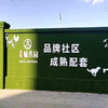 翠綠色1.0cm廣告標語草坪背景墻黃埔外墻面塑料草坪
