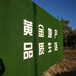 翠绿色10mm广告标语围挡塑料草坪长垣墙面草坪