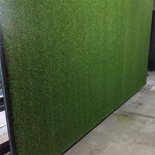 春草色2.0cm围墙绿化围挡草坪地毯泉山区墙面仿真草坪