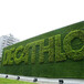 翠绿色1.5厘米建筑工程围挡草坪地毯武宣背景墙装饰草坪