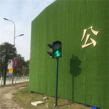 軍綠色25針圍墻綠化草坪圍擋資興背景墻假草坪