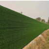 2米宽高房地产围挡板绿草坪京山假草皮上墙