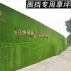 1000磅重围墙装饰围挡草皮淄川区绿色围墙草坪