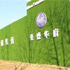 15800針圍墻裝飾綠植背景墻寧洱哈尼族彝族自治工地墻壁假草坪