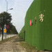 军绿色1.0cm墙体绿化围挡覆盖绿草皮宝应绿色草坪背景围墙