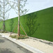 4米宽高工地围墙围挡板绿草坪宜章墙体人造草皮