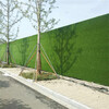 深三色25mm彩钢板围挡草坪布新建墙壁假草皮