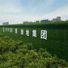 2.5米寬高廣告宣傳廣告草皮贛榆墻壁人造草皮