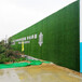 2.5米宽高广告标语围挡人工草皮连江围墙人造草坪
