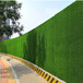 15800针市政绿化围挡草坪网尼勒克围墙人造草皮