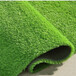 军绿色15mm广告外墙围挡阻燃草坪宜州施工外墙绿草坪