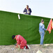 翠绿色10mm工地临时绿植背景墙舞阳围墙绿色草皮