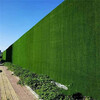 軍綠色15mm彩鋼瓦綠植背景墻牧野區外墻塑料草坪