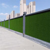 深三色2.5cm楼盘装饰围挡绿草皮大竹工程围墙塑料草坪