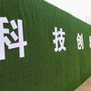 军绿色1.5厘米墙面装饰围挡草坪地毯东坑镇绿色草坪背景围挡