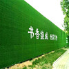 翠绿色1.0cm铁皮装饰绿植围挡南江围墙绿色假草坪