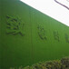 军绿色10mm铁皮装饰围挡假草坪番禺楼盘围墙广告仿真草坪