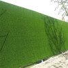 翠綠色1.5cm建筑遮蓋廣告草皮黃山墻壁假草坪