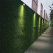 10500针外墙装饰围挡绿草皮渝水区背景墙假草皮