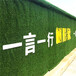 翠绿色1.0厘米建筑外墙围挡景观草坪象州背景墙假草皮
