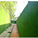 军绿色25针房地产围挡覆盖绿草皮百色围墙绿色塑料草坪