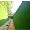 翠綠色15mm圍墻裝飾綠植背景墻臺南墻壁假草坪