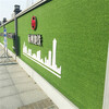 21000針鐵皮裝飾圍擋綠化草坪順慶區墻面人造草坪
