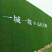 军绿色25针广告装饰围挡人造草坪伊犁外围墙人造绿草坪