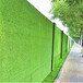 翠绿色1.5cm城市道路围挡绿草皮边坝围墙上绿色草皮