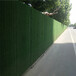 翠绿色1.5厘米楼盘装饰围挡覆盖绿草皮丰泽区广告围墙草皮