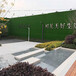 军绿色1.0cm建筑围墙草坪围挡绥滨绿色围墙草坪