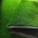 军绿色20针建筑遮盖围挡挂草皮叶城贴墙的草皮