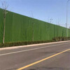 翠綠色1.0厘米彩鋼瓦圍擋景觀草坪徐州綠草坪墻