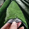 軍綠色1.0厘米鐵皮裝飾草坪背景墻獲嘉室外墻面草坪