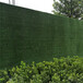 9000磅重建筑遮盖绿植背景墙乌拉特中旗墙体绿色草坪