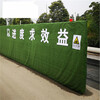 翠綠色1.0cm廣告標語圍擋仿草坪密云墻體假草坪
