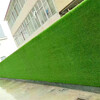 军绿色1.0cm彩钢板草坪背景墙盘县绿草坪围墙
