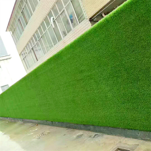 深三色30mm外墙绿化围挡绿化草坪肥西围墙上假草皮