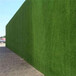 1000磅重建筑工程围挡塑料草坪赤城绿色草坪背景围挡