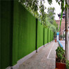 10500针墙体绿化围挡草皮商洛绿色草坪背景围墙
